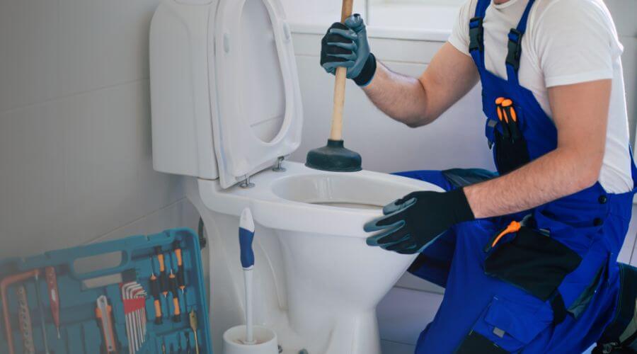 Local annual plumbing maintenance in Glendale, AZ